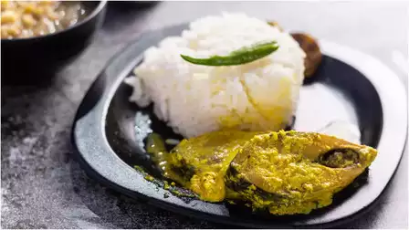 Hilsa, Ilish, and Pulasa: A Tale of the Queen of Fish 