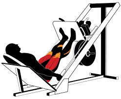 A Beginner’s Guide to the Leg Press Machine 